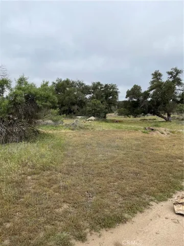 View of parcel.