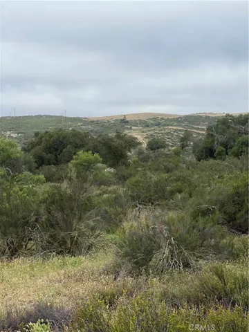 View of parcel.