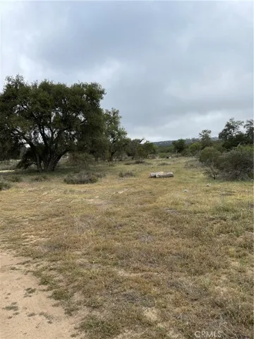 View of parcel.