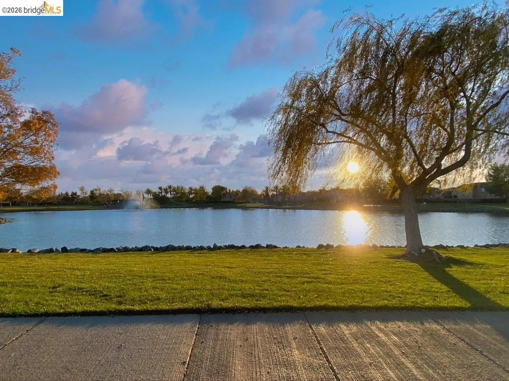 Lakeside setting featuring a mature weeping willow tree, manicured green lawn, and a concrete pathway