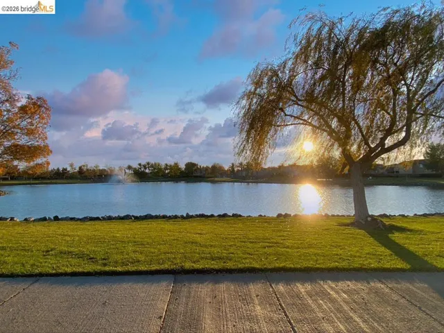 Lakeside setting featuring a mature weeping willow tree, manicured green lawn, and a concrete pathway