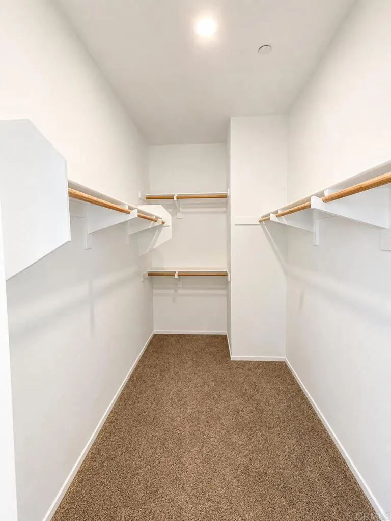 Primary Bedroom Walk-in Closet