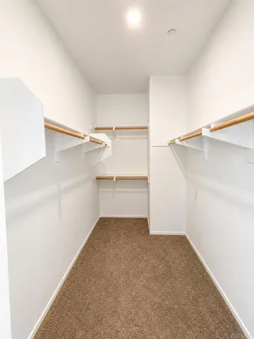 Primary Bedroom Walk-in Closet