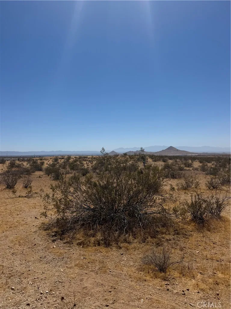 39 Leaping Lizard Lane, Apple Valley, California 92307 — photo 5