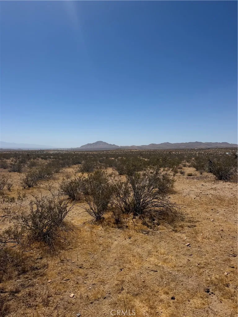 39 Leaping Lizard Lane, Apple Valley, California 92307 — photo 4