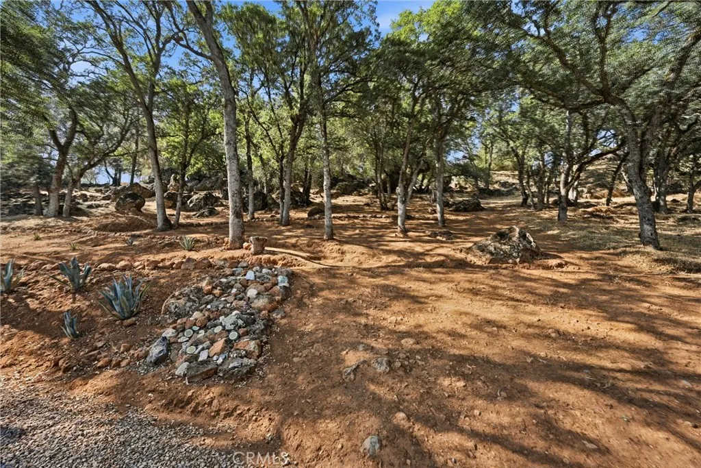 Low maintenance and private backyard