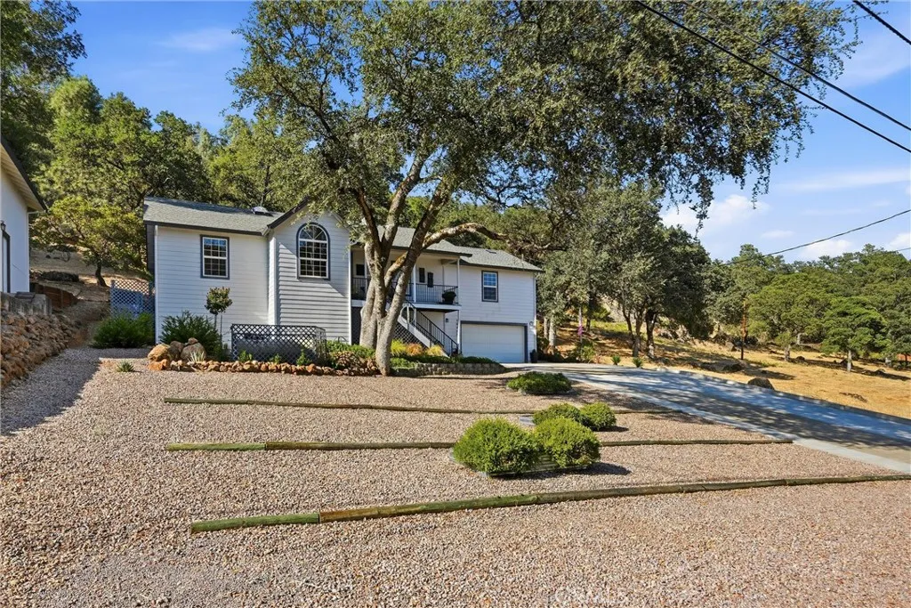 Low maintenance low water landscaping
