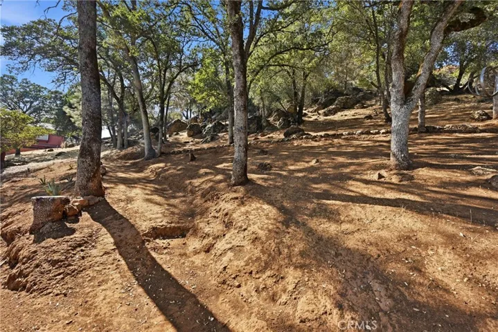 Walking path to top of yard