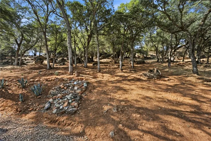 Low maintenance and private backyard