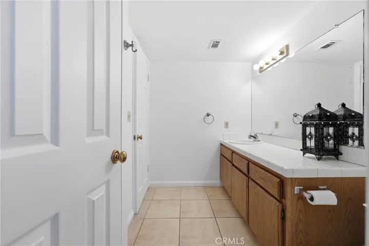 Lower level bathroom
