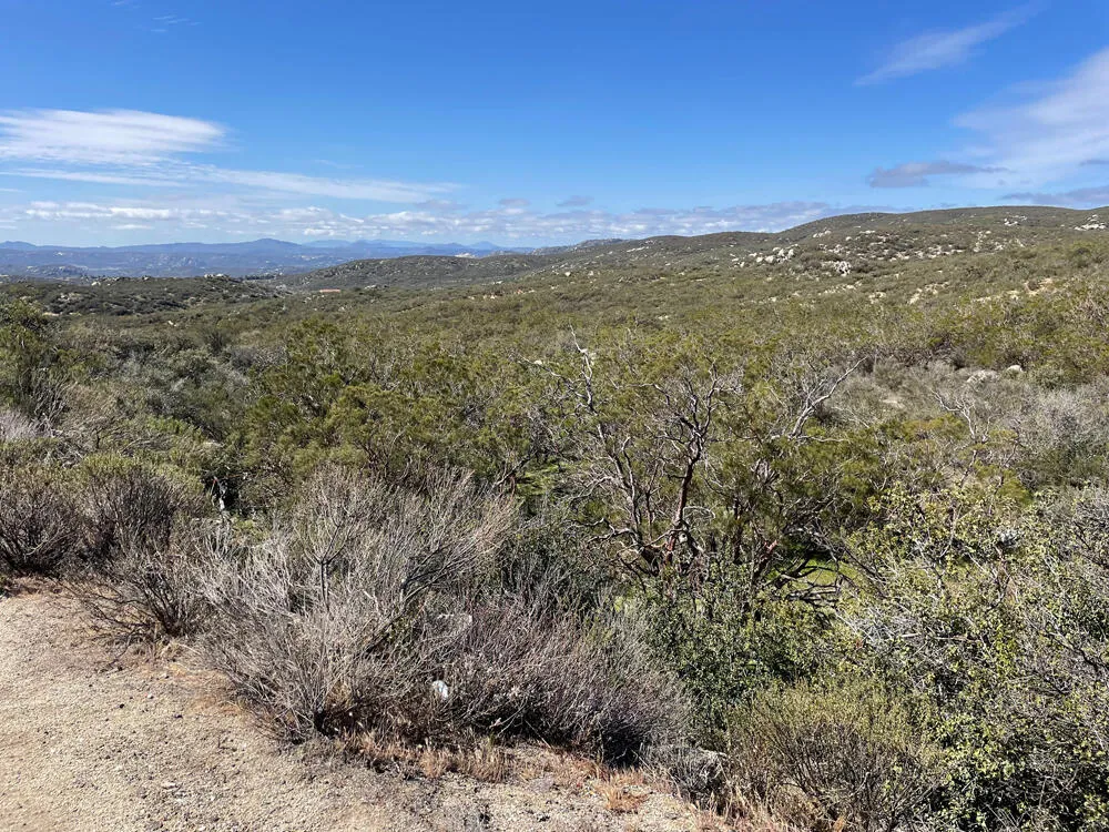 61567 Sun Terrace, Mountain Center, California 92561 — photo 4