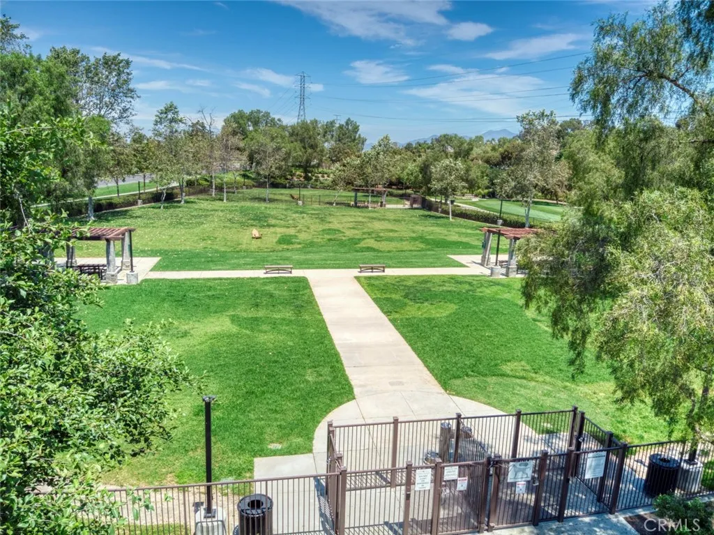 Dog Parks