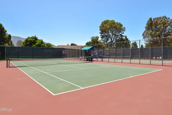 Pickle ball and Tennis