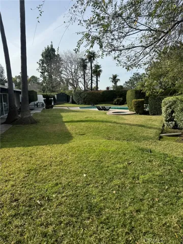 Lush backyard Landscaping