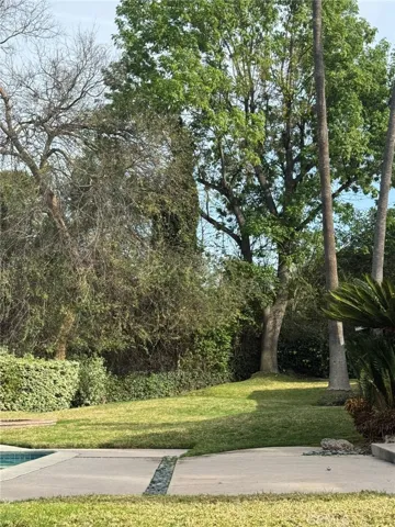Park like Backyard
