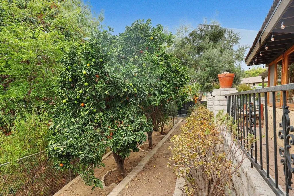 Fruit trees