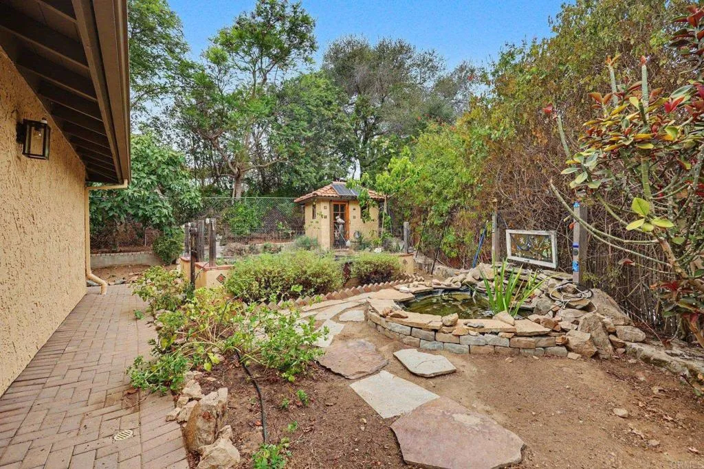 Backyard Koi pond