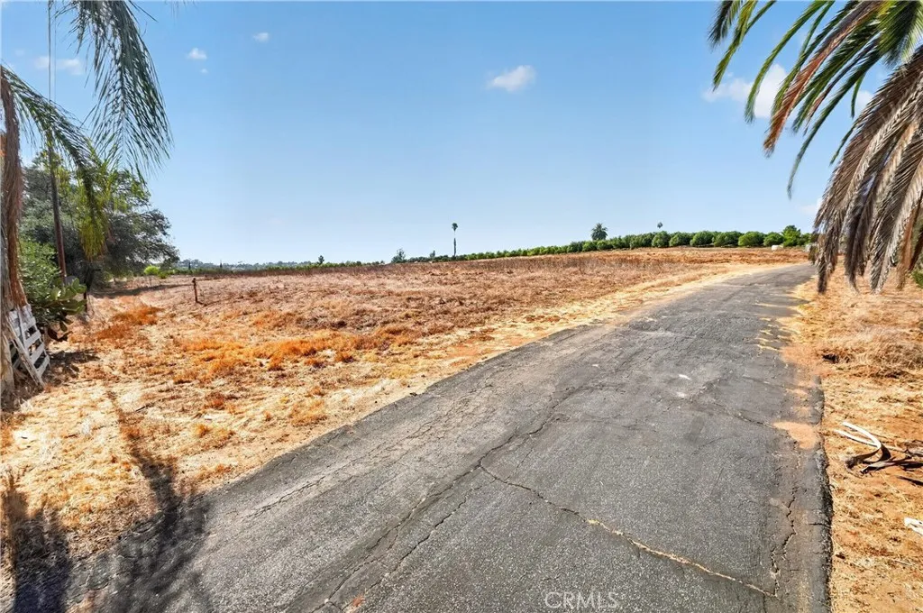 PAVED  ENTRY  DRIVE (LOCATED ON THE 20 ACRE PAN HANDEL)  GOING  PAST  ADJOINING 10 ACRE(ON LEFT) , REST OF 20  ACRE PARCEL START STARTS  AT  BACK GROUND  GROVE.