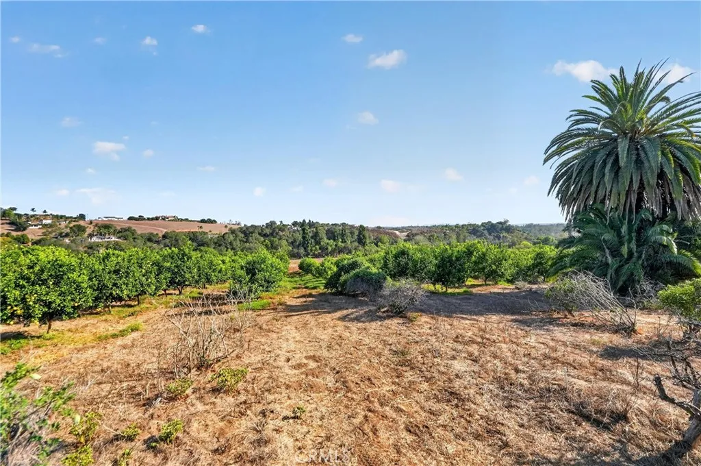 MORE OF THE FLAT  USEABLE  PORTION INSIDE THE 20 ACRE PARCEL