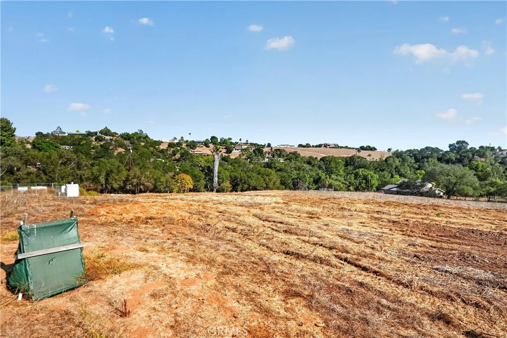 VIEW TO SE FROM  MID  WAY  ON THE  NORTH  BORDER OF  THE  TEN  ACRE PROPERTY .