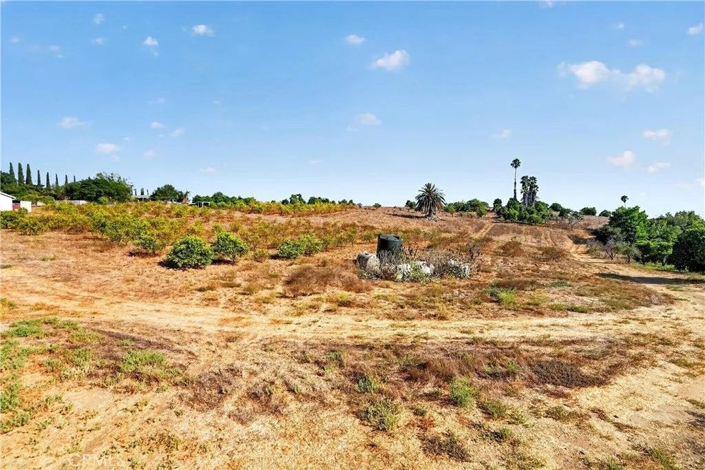 VIEW INTO THE NW CORNER OF  20 ACRES  QUITE  A BIT  OF USEABLE  ACREAGE  (APPROX  4-5  ACRES)