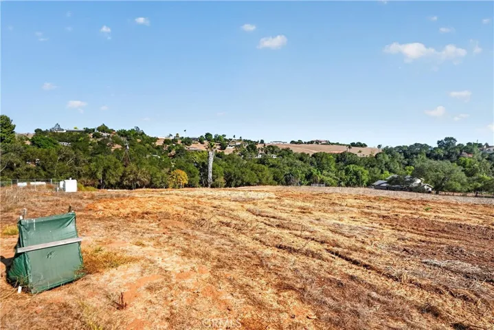 VIEW TO SE FROM  MID  WAY  ON THE  NORTH  BORDER OF  THE  TEN  ACRE PROPERTY .