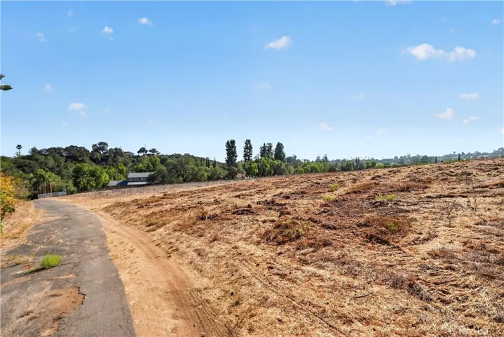 VIEW OF  EASTERLY LINE OF  ADJACENT TEN  ACRE PARCEL, DRIVE WAY IS ON THE 20  ACRE PANHANDLE.