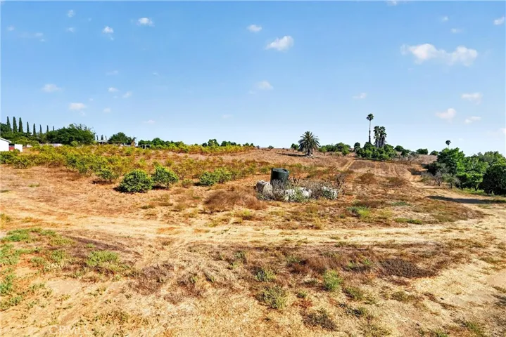 VIEW INTO THE NW CORNER OF  20 ACRES  QUITE  A BIT  OF USEABLE  ACREAGE  (APPROX  4-5  ACRES)
