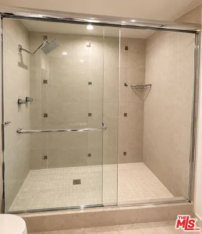 Bathroom Shower 1