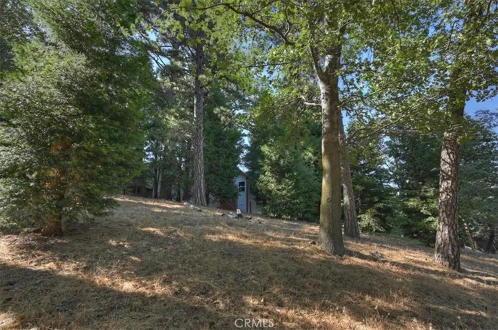 0 Pine, Cedarpines Park, California 92322 — photo 5