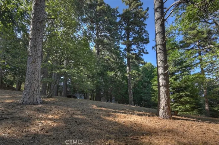 0 Pine, Cedarpines Park, California 92322 — photo 4
