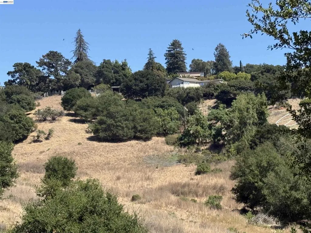 Clover Rd, Hayward, California 94542 — photo 4