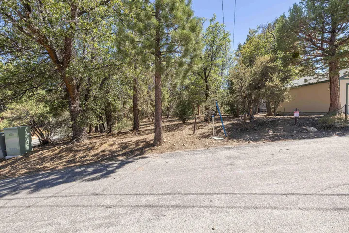 Lot6-5517