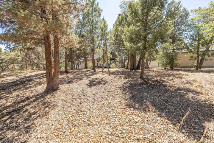 0 Plumas Court, Big Bear City, California 92314 — photo 5