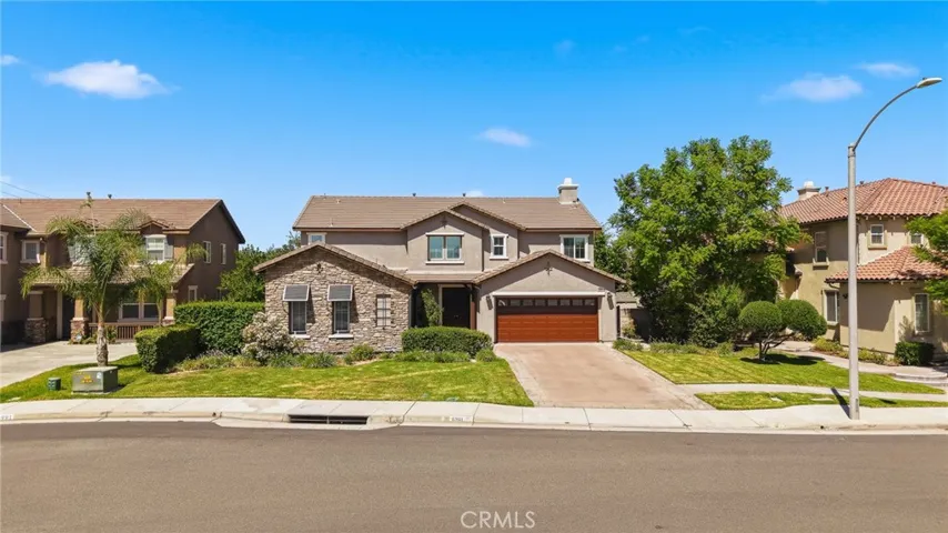 6981_Wild_Lupine_Eastvale