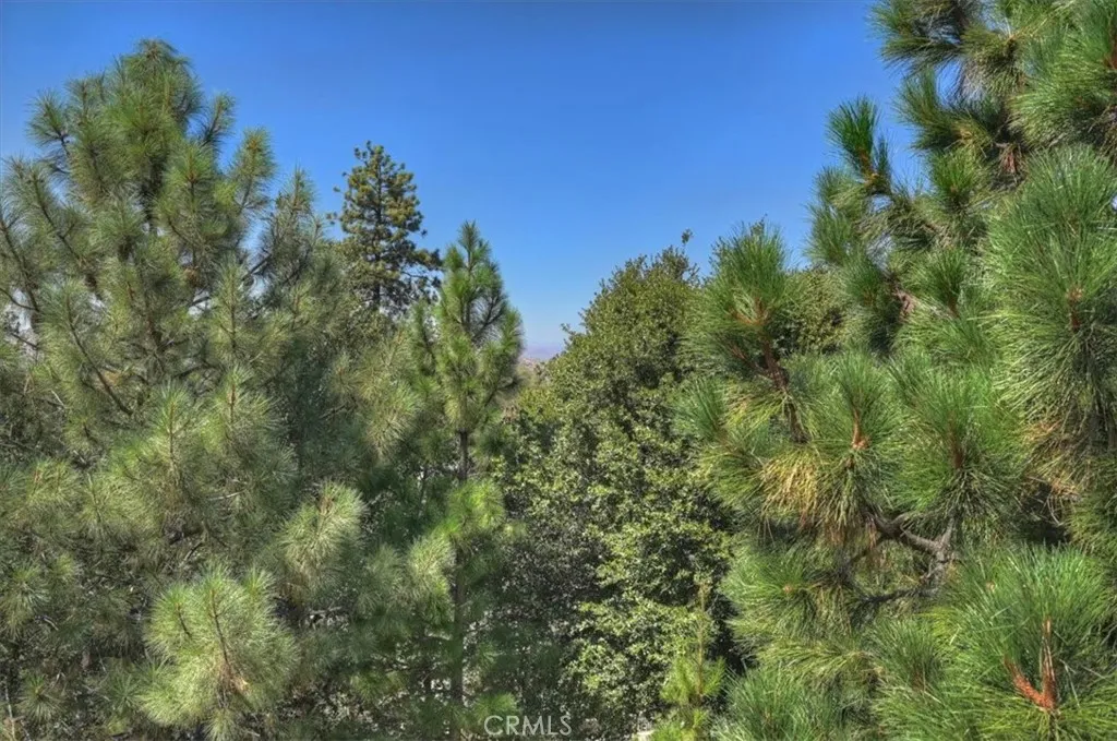 view from living room