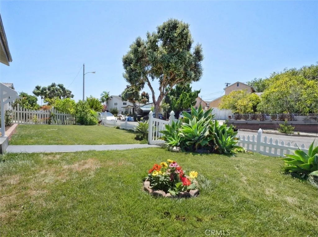 Front Yard