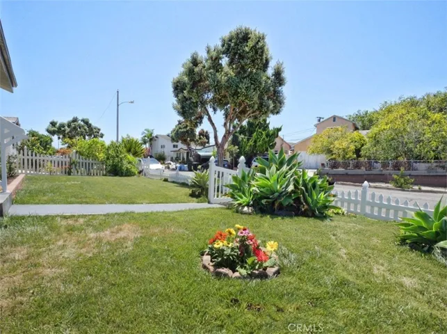Front Yard