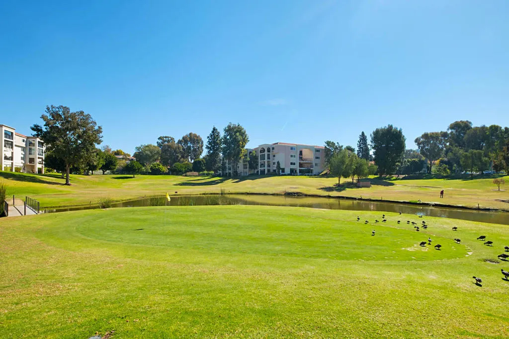 47_12161868_laguna-woods-village-new-6_5
