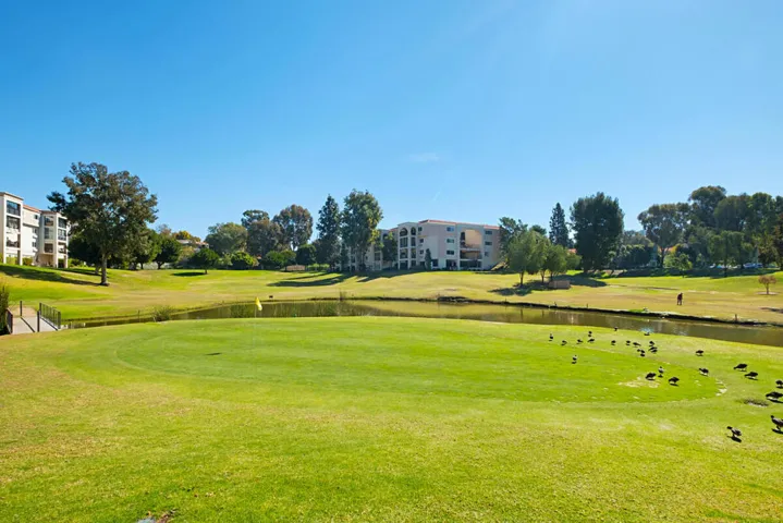 47_12161868_laguna-woods-village-new-6_5