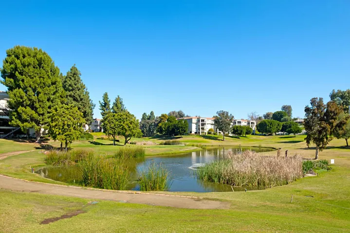 46_12161867_laguna-woods-village-new-5_5