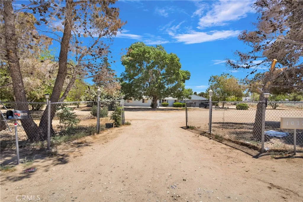 10325 Sheep Creek Rd, Phelan, California 92371 — photo 4
