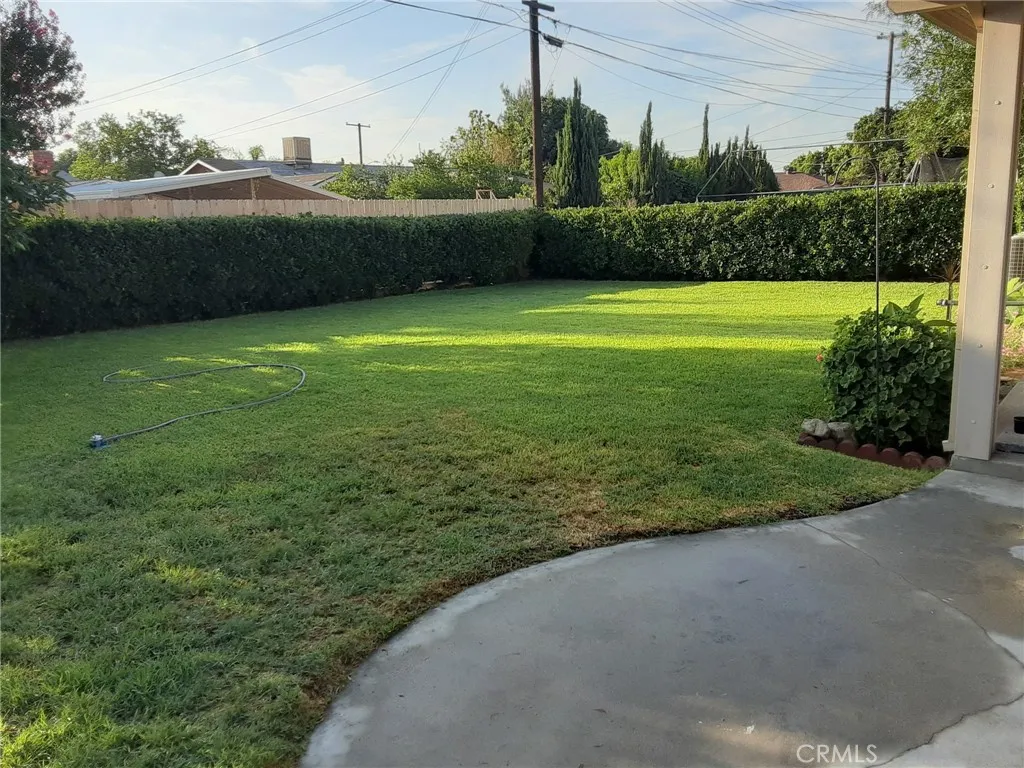 Backyard
