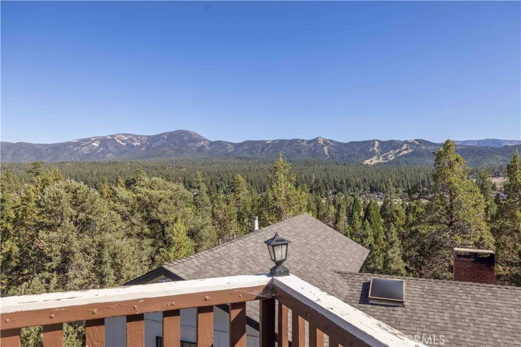 1098 Mt Verdi, Big Bear City, California 92314 — photo 4