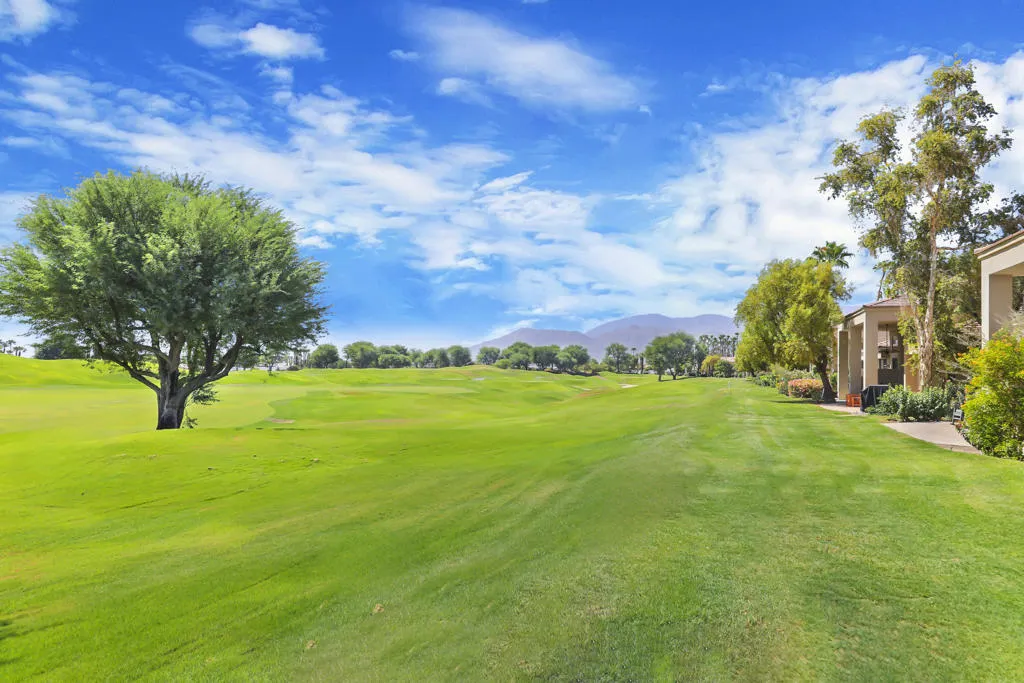 Oaktree54914#29 Oaktree54914#29