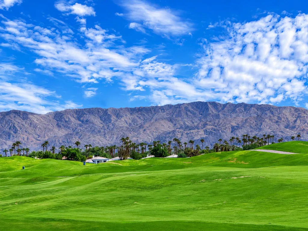 Oaktree54914#34 Oaktree54914#34