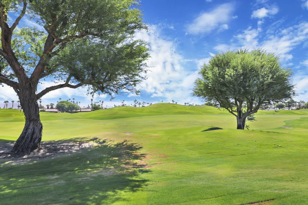 Oaktree54914#30 Oaktree54914#30