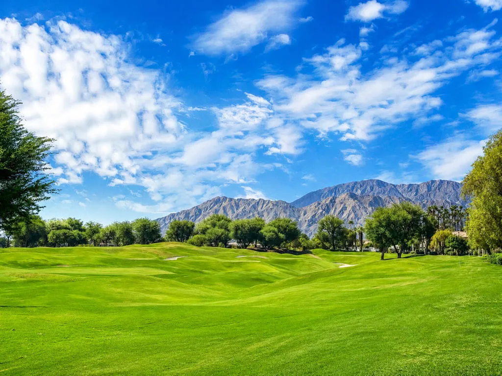 Oaktree54914#32 Oaktree54914#32