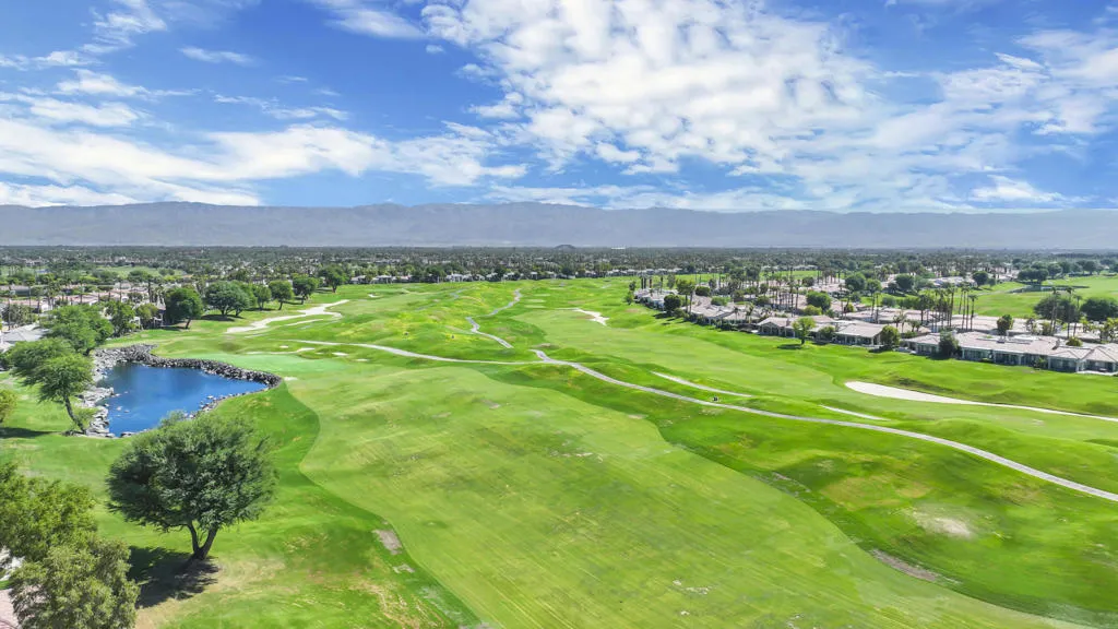 Oaktree54914#38 Oaktree54914#38