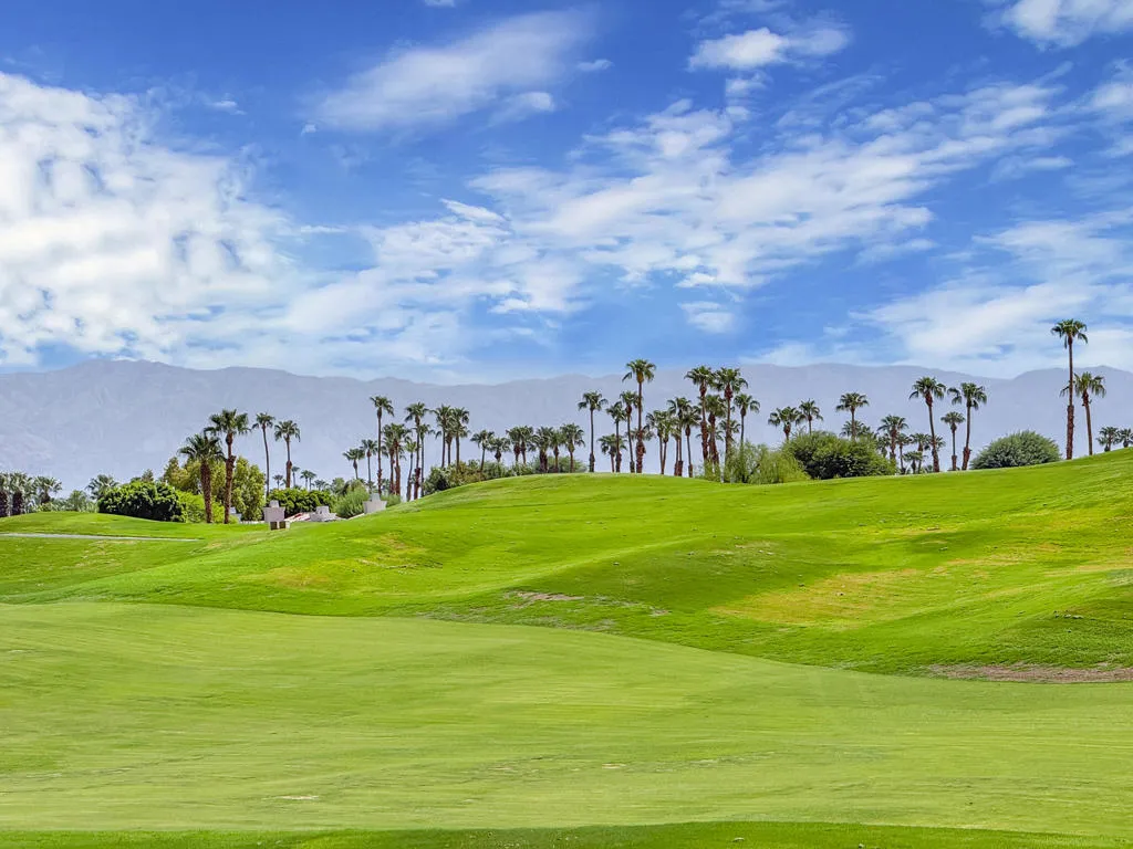 Oaktree54914#33 Oaktree54914#33
